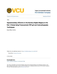 Supramedullary Afferents to the Nucleus Raphe Magnus in the Rat: a Study Using Transcannula HRP-Gel and Autoradiography Techniques