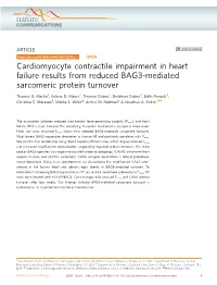Cardiomyocyte Contractile Impairment in Heart Failure Results from Reduced BAG3-Mediated Sarcomeric Protein Turnover