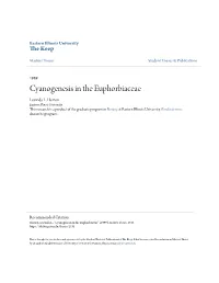 Cyanogenesis in the Euphorbiaceae Lucinda L