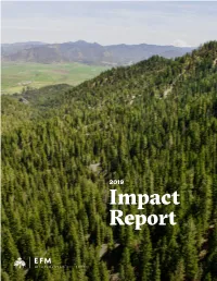 Impact Report