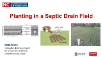 Planting in a Septic Drain Field