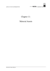 Chapter 11: Material Assets