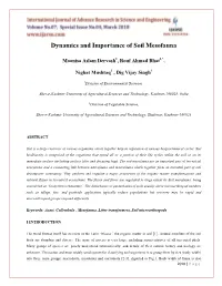 Dynamics and Importance of Soil Mesofauna