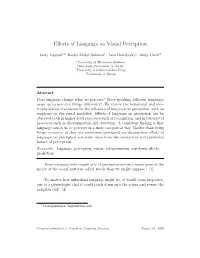 Effects of Language on Visual Perception