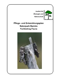 Fachbeitrag Fauna