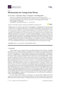 Mechanisms for Curing Yeast Prions