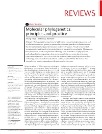 Molecular Phylogenetics: Principles and Practice