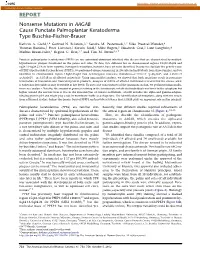 Nonsense Mutations in AAGAB Cause Punctate Palmoplantar Keratoderma Type Buschke-Fischer-Brauer