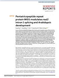 Pentatricopeptide Repeat Protein MID1 Modulates Nad2 Intron 1