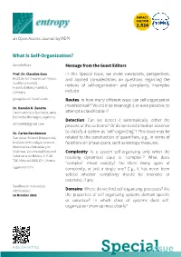 Print Special Issue Flyer