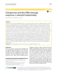 Ciliogenesis and the DNA Damage Response: a Stressful Relationship Colin A