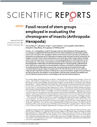 Fossil Record of Stem Groups Employed In