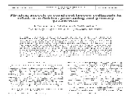 Physical Aspects of Coral Reef Lagoon Sediments in Relation to Detritus Processing and Primary Production