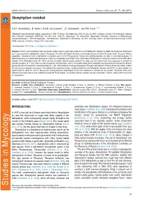 Stemphylium Revisited