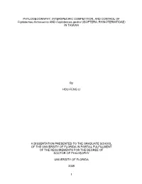 University of Florida Thesis Or Dissertation
