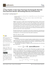 A New Family of Zeta Type Functions Involving the Hurwitz Zeta Function and the Alternating Hurwitz Zeta Function