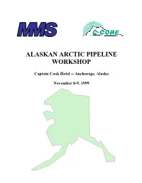 Alaskan Arctic Pipeline Workshop