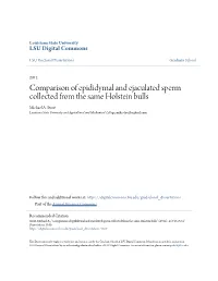 Comparison of Epididymal and Ejaculated Sperm Collected from the Same Holstein Bulls Michael A