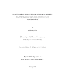 Geochemical Modeling, Reactive Transport