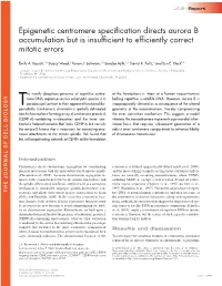 Epigenetic Centromere Specification Directs Aurora B Accumulation but Is Insufficient to Efficiently Correct Mitotic Errors