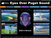 Eyes Over Puget Sound