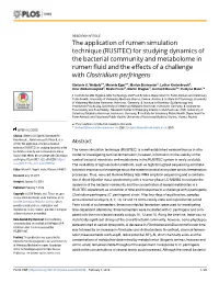 For Studying Dynamics of the Bacterial Community and Metabolome in Rumen Fluid and the Effects of a Challenge with Clostridium Perfringens