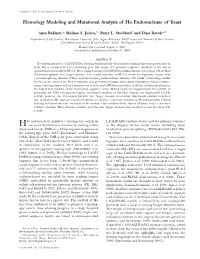 Homology Modeling and Mutational Analysis of Ho Endonuclease of Yeast
