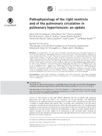 Pathophysiology of the Right Ventricle And€Of the Pulmonary Circulation In