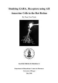 Studying GABAA Receptors Using AII Amacrine Cells in the Rat Retina by Tuan Van Trinh