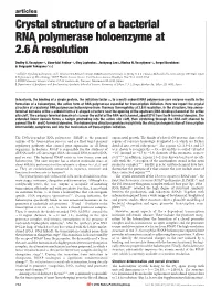 Crystal Structure of a Bacterial RNA Polymerase Holoenzyme at 2.6 A˚ Resolution