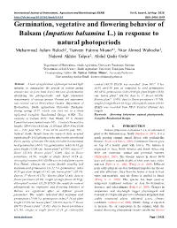 Germination, Vegetative and Flowering Behavior of Balsam (Impatiens