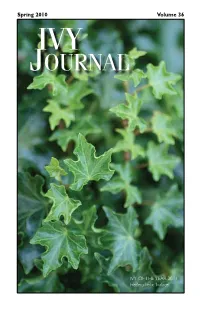 Journal Editorial Staff: Rachel Cobb, David Pfaff, Patricia Riley Hammer, Henri Nier, Suzanne Pierot, Sabina Sulgrove, Russell Windle
