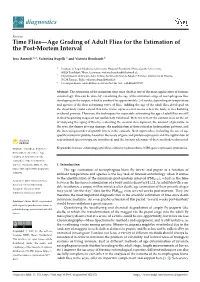 Time Flies—Age Grading of Adult Flies for the Estimation of the Post-Mortem Interval