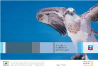 A Guide to the Birds of Barrow Island