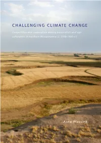 Challenging Climate Change