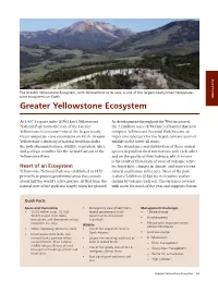 Greater Yellowstone Ecosystem, with Yellowstone at Its Core, Is One of the Largest Nearly Intact Temperate- Zone Ecosystems on Earth