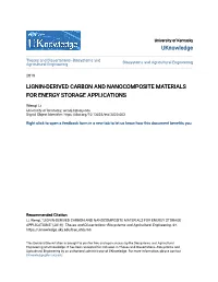Lignin-Derived Carbon and Nanocomposite Materials for Energy Storage Applications