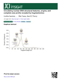 Circulating Nuclear DNA Structural Features, Origins, and Complete Size Profile Revealed by Fragmentomics