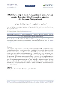 ﻿DNA Barcoding of Genus Hexacentrus in China Reveals Cryptic Diversity Within Hexacentrus Japonicus (Orthoptera, Tettigoniidae