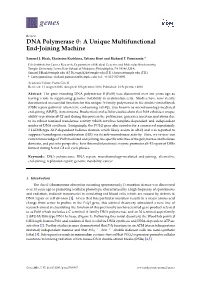 DNA Polymerase : a Unique Multifunctional End-Joining Machine
