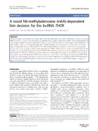 M6a)-Dependent Fate Decision for the Lncrna THOR Hongmei Liu1,Yuxinxu1,Bingyao1, Tingting Sui1,Liangxuelai1,2,3,4 and Zhanjun Li1