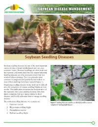 Soybean Seedling Disease Management