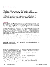 The Role of Intercalated Cell Nedd4–2 in BP Regulation, Ion Transport, and Transporter Expression
