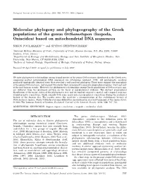 Molecular Phylogeny and Phylogeography of the Greek Populations of the Genus Orthometopon (Isopoda, Oniscidea) Based on Mitochondrial DNA Sequences