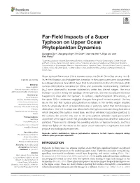 Far-Field Impacts of a Super Typhoon on Upper Ocean Phytoplankton Dynamics