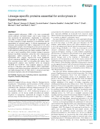 Lineage-Specific Proteins Essential for Endocytosis in Trypanosomes Paul T