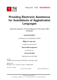 Providing Electronic Assistance for Autodidacts of Agglutinative Languages