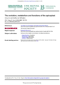The Evolution, Metabolism and Functions of the Apicoplast