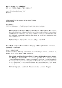 Mise En Page 1