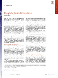 Phosphatidylserine Hide-And-Seek COMMENTARY